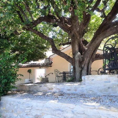 Le gîte Calluna Sablet Esterno foto