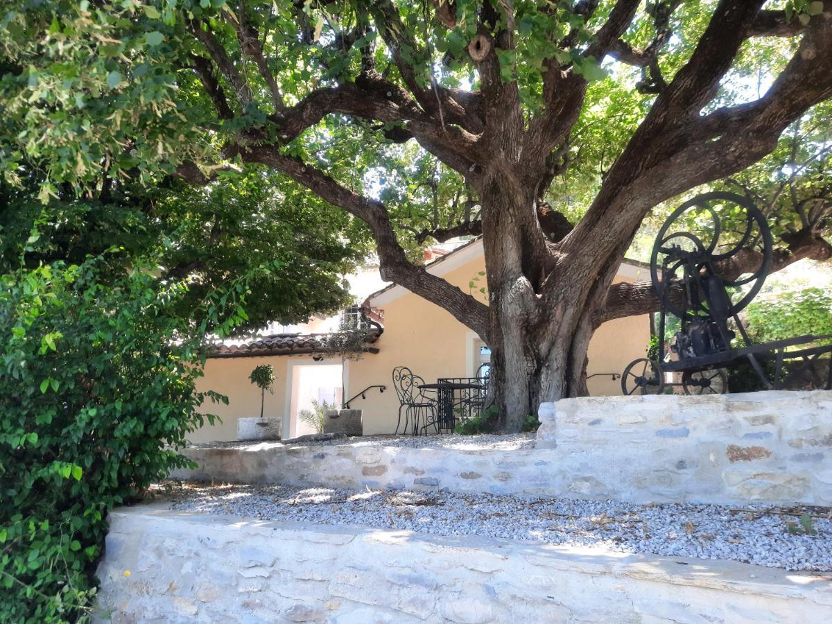 Le gîte Calluna Sablet Esterno foto