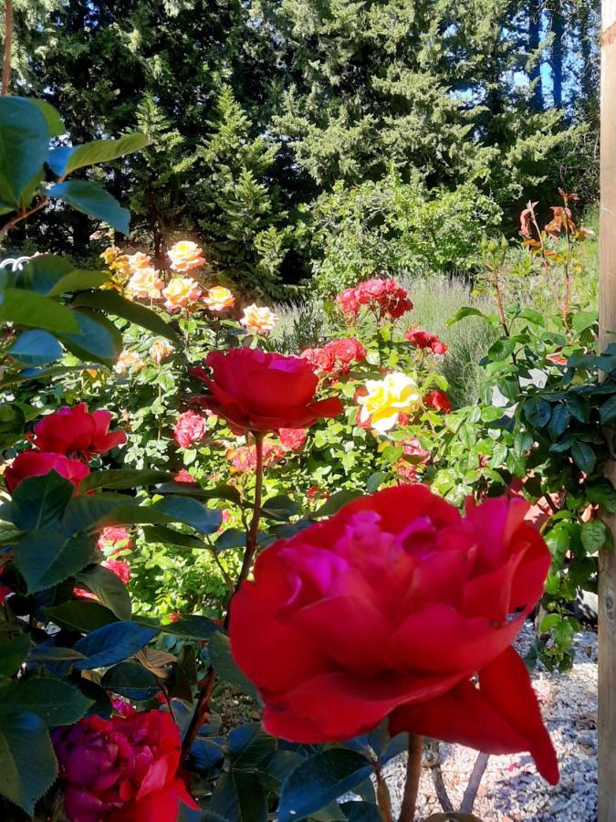 Le gîte Calluna Sablet Esterno foto