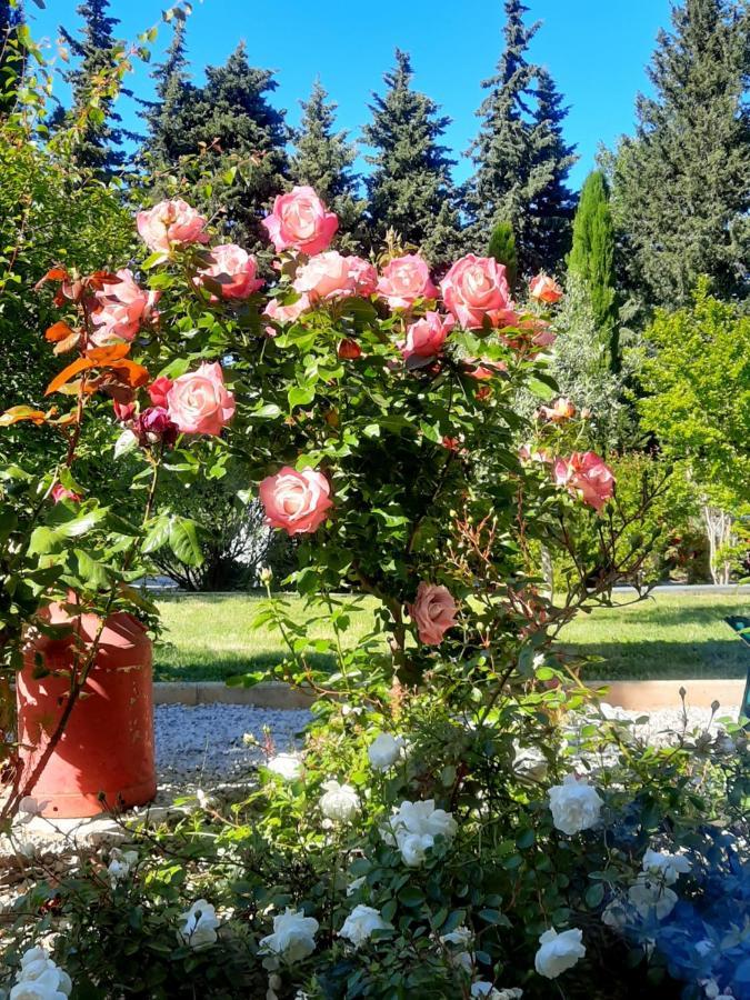 Le gîte Calluna Sablet Esterno foto