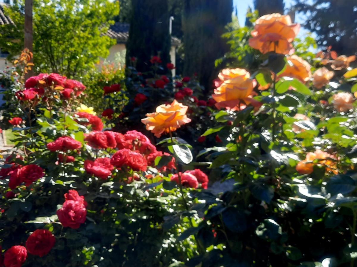 Le gîte Calluna Sablet Esterno foto