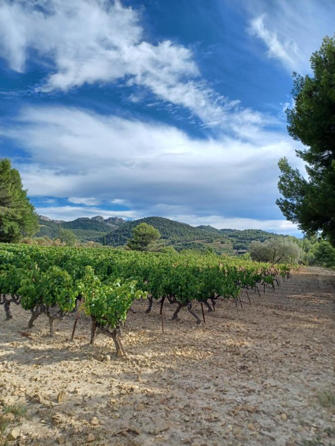 Le gîte Calluna Sablet Esterno foto
