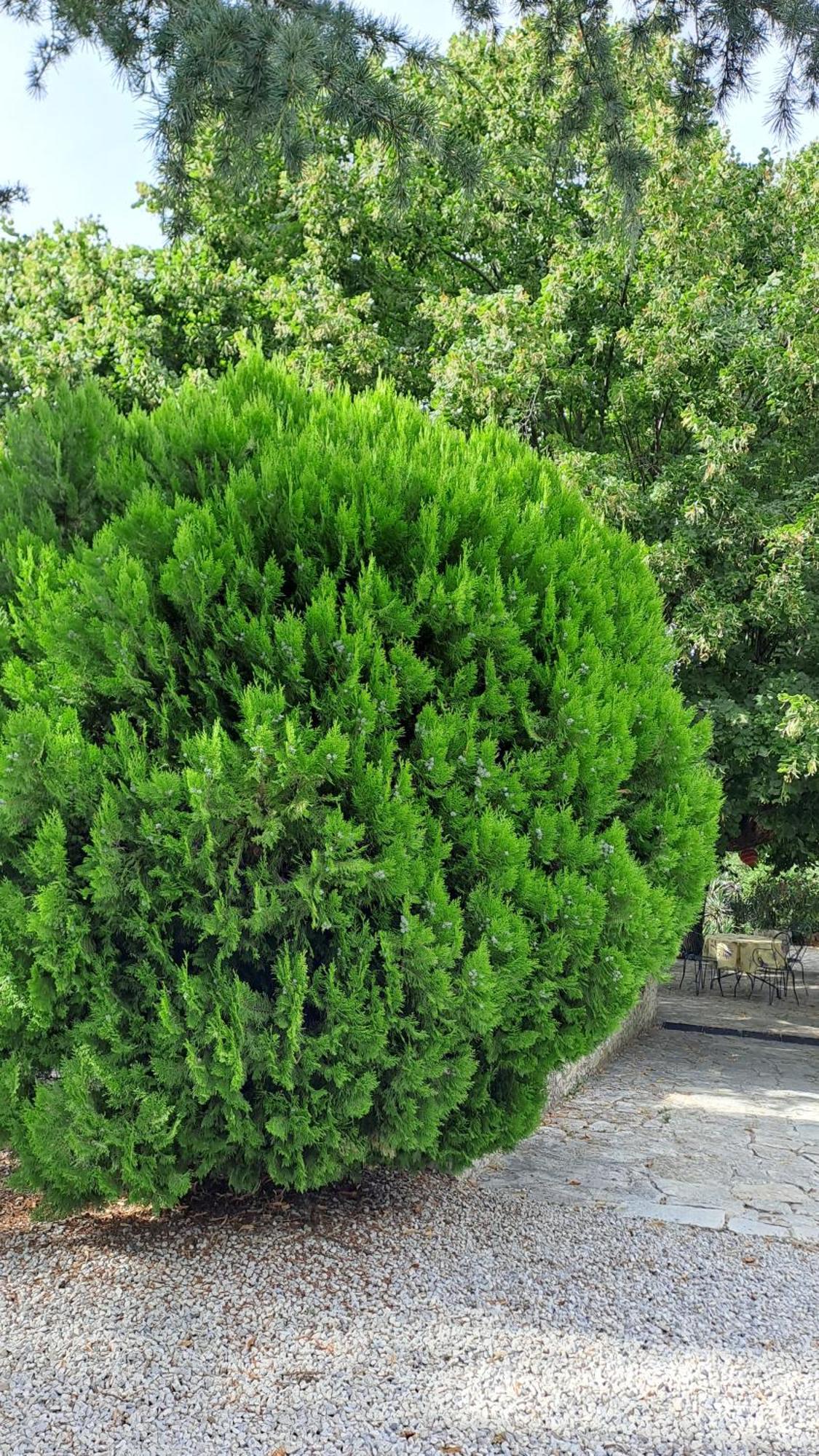Le gîte Calluna Sablet Esterno foto